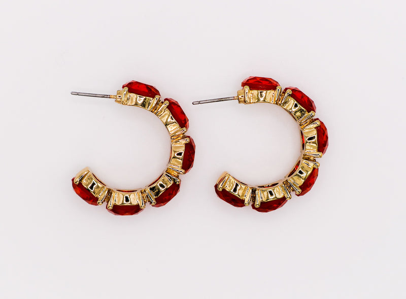 Crimson Elegance Earrings