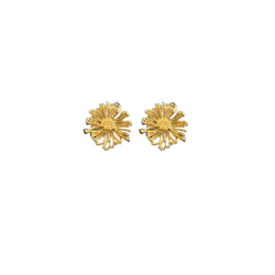 Single Burst Clip Earrings