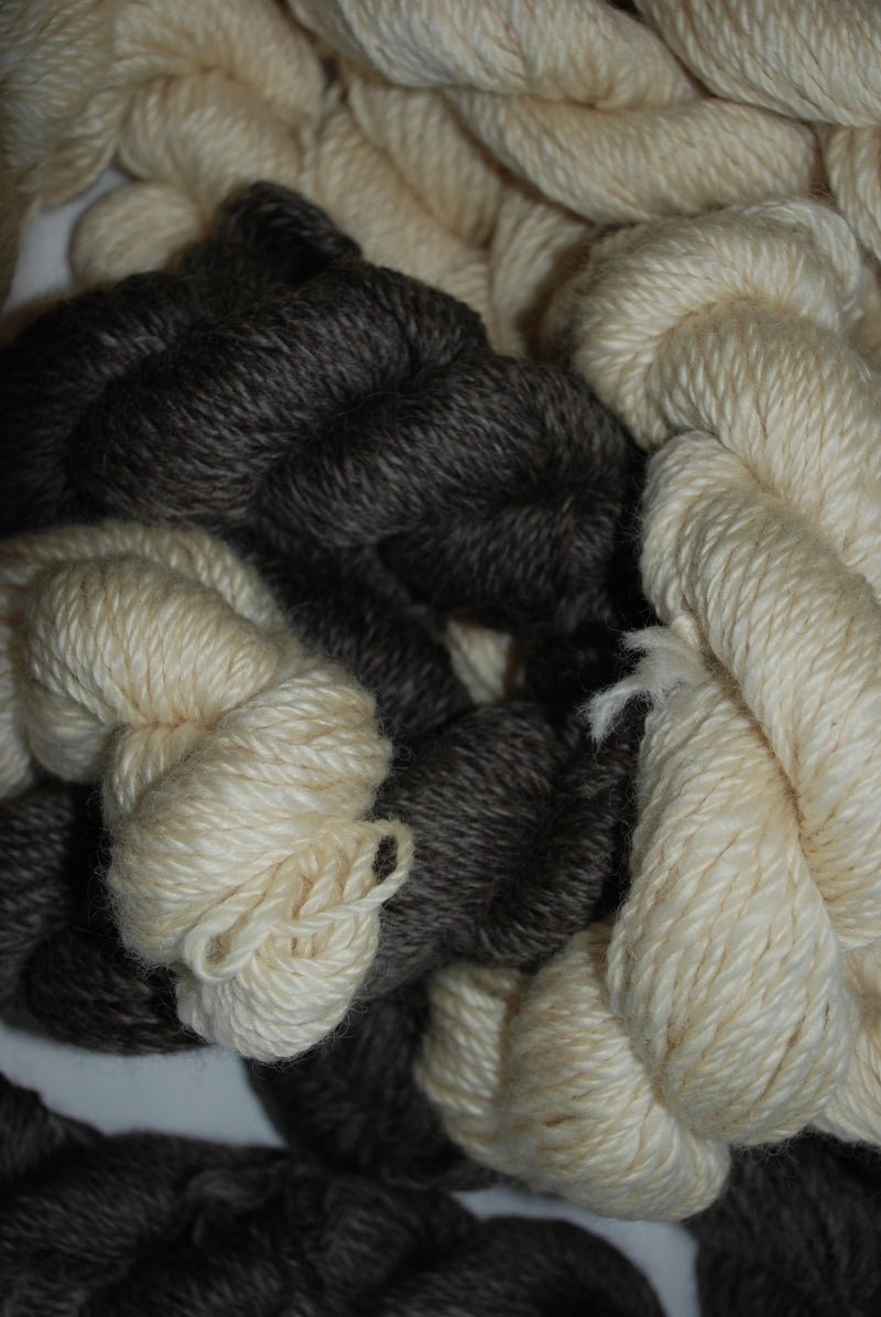 BB Cotswold Wool