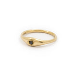 Dome Ring - 14K Yellow Gold