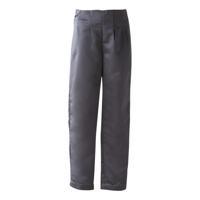 Women's Trousers Pleated Pants