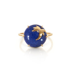 Ray of Light Lapis Ring - ourCommonplace